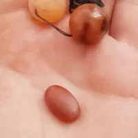 مهره مهرومحبت(شکر،مهر) زوجین قدیمی
