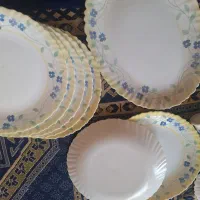 آرکوپال پنسی