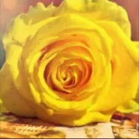 مدارک گمشده