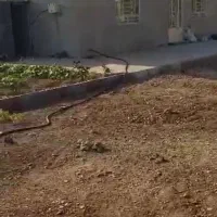 فروش سوله در قطب صنعتی|فروش دفتر صنعتی، کشاورزی، تجاری|جونقان, |دیوار