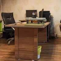 همکار خانم برای منشی