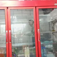 یخچال  ویترینی|فروشگاه و مغازه|اندیمشک, |دیوار