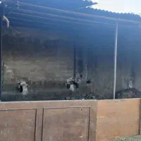 فروش گلدونی ودامداری بزرگ موقعیت عالی|فروش خانه و ویلا|شیراز, داریون|دیوار