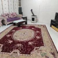 سویت تروتمیزکولردارطبق عکس داده میشود