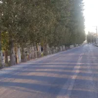 باغ فول امکانات