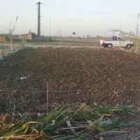 شخم زدن با تیلر کولتیواتور|خدمات باغبانی و درختکاری|مینودشت, |دیوار