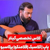 کلاس آموزشی /کلاس گیتار/ گیتار / موسیقی