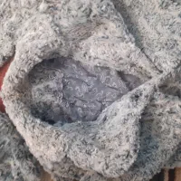 پالتو|کفش و لباس بچه|شیراز, حجت آباد|دیوار