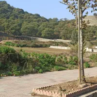 فروش زمین تجاری و مسکونی|فروش زمین و ملک کلنگی|نوده خاندوز, |دیوار