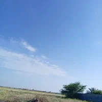 فروش-زمین