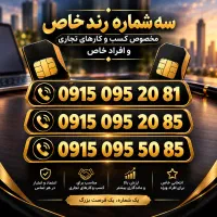 سیم کارت رند پلاک زاهدان 95 - 85 خاص تجاری بیزنس