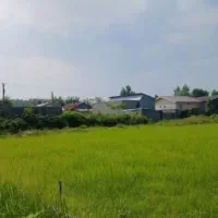 زمین  فولادمحله