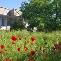 خانه ویلایی سه بر در شهرک سدارس|فروش خانه و ویلا|ارس, |دیوار