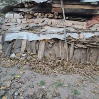 چوب سربندی و تخته خانه روستایی|مصالح و تجهیزات ساختمان|کجور, |دیوار