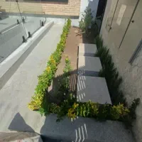 خدمات باغبانی ارسکاری کوددهی گلکاری تعویض خاکگلدون|خدمات باغبانی و درختکاری|تهران, تهرانپارس شرقی|دیوار