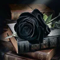 مداحی مراسمات