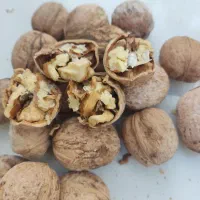 گردو درجه 1 قیمت مناسب