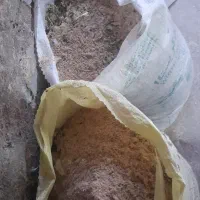 فضله کبوتر، کود باغچه|گل و گیاه طبیعی|رشت, حومه رشت|دیوار