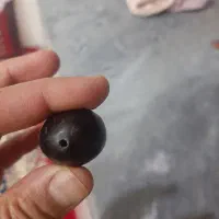 مهره و سنگ خیلی قدیمی