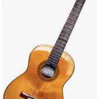 تعمیر تخصصی گیتار