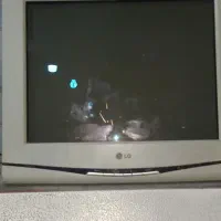 مانیتور LG