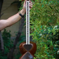 تار حرفه ای