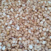 نخودچی بوداده ایرانی تازه