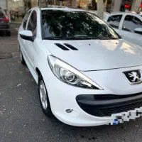 207 پاناروما مدل۱۴۰۲ (اقساطی/شرایطی)|خودرو سواری و وانت|تهران, نارمک|دیوار