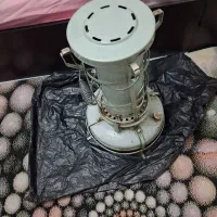 علاءالدین