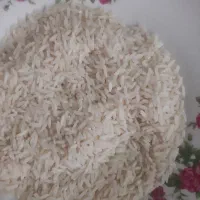 برنج هاشمی محصول امسال سنگر ۳۰۰