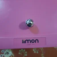 جا نانی و گلدان