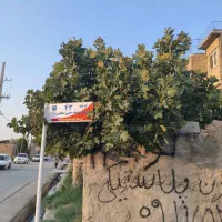 زمین-ملکی-با-وام-ساخت4