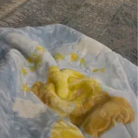 پتوی نوزاد اسپانیای baby sac|رختخواب، بالش، پتو|سنندج, |دیوار