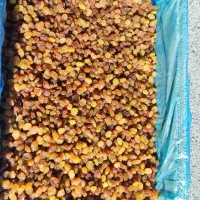 کشمش طلایی (دودی) و تیزابی|عمدهفروشی|ملایر, |دیوار