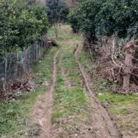 چابکسر .قاسم آبادسفلی .زمین مرکبات حدود ۴۰۰۰ متر