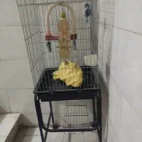 قفس پرنده|لوازم جانبی حیوانات|تهران, فلاح|دیوار