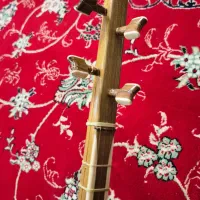 سه تار خوش صدا|سازهای سنتی|شهرضا, |دیوار