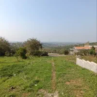 زمین باغ ویودار بزچفت بابلکنار|فروش زمین و ملک کلنگی|بابل, |دیوار