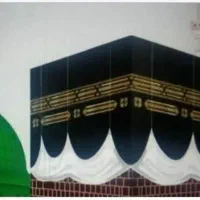 فروش ۳ عدد فیش عمره با اولویت ۵۹۰