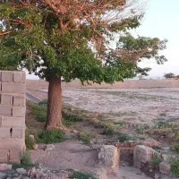 زمین مخصوص باغ و باغچه|فروش زمین و ملک کلنگی|جوادآباد, |دیوار