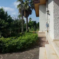 700متر ویلا شهرکی ساحلی /تهاتر آپارتمان تهران|فروش زمین و ملک کلنگی|رویان, |دیوار