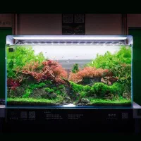 آکواریوم شیشه خم|ماهی|تهران, تهرانسر مرکزی|دیوار