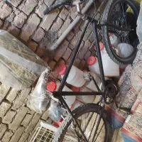 دماوند طوقه حرفه ای