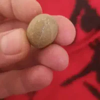 سنگ قیمتی|کلکسیون اشیاء عتیقه|مشگین شهر, |دیوار