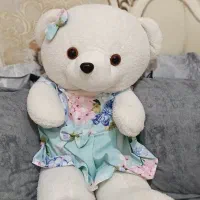 خرس بزرگ و سالم