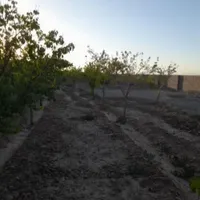 باغ ۵۰۰ متری گنبدواز|فروش خانه و ویلا|مشهد, لقمانی|دیوار