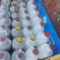 دبه خیارشور