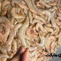 میگو درشت