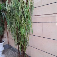 درخچه|گل مصنوعی|اهواز, کوی رمضان|دیوار