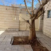 ویلایی یک طبقه ۱۴۰ متری خیابان آتشگاه|فروش خانه و ویلا|اصفهان, بهارانچی|دیوار